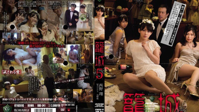 [영어자막] RBD-541 포위 5 Sho Nishino Hikari Hino Yui Asano (영어자막 AV,영문자막 야동)