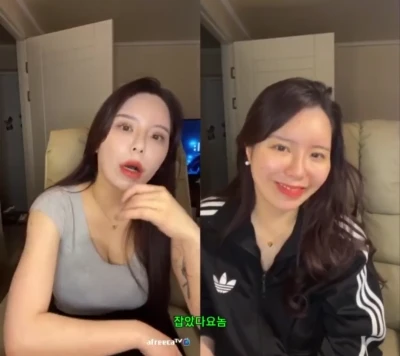 잡았다 요놈 일탈 여캠모음 (한국야동,국산야동,한국야동 실시간)